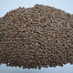 фото семена чечевицы Донская краснозерная суперэлита